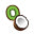 Kiwikoko Seychelles logo
